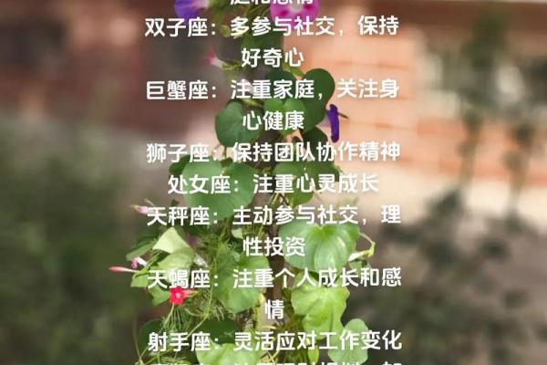 今日天秤座运势：抓住机会，避免冲动决策