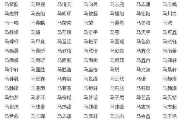 马姓宝宝名字精选与寓意解析