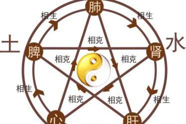然五行属性解析与深度剖析