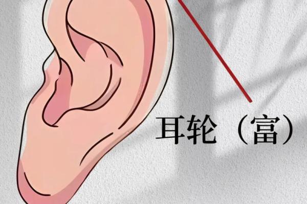 痣相图解析：如何通过面部痣相预测个人运势