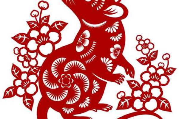 出生的人属什么命及其性格特点解析