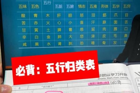 五行属性解析：如何判断事物属于哪个五行类别