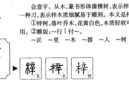 梓字在女宝宝起名中的寓意与选择技巧