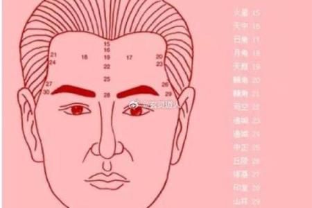 发财面相解析：如何从面相中看出财富运势