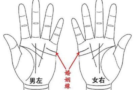 解读享福命手相，预测你的幸福与财富前景