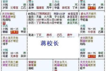 紫微斗数中的四化星分析