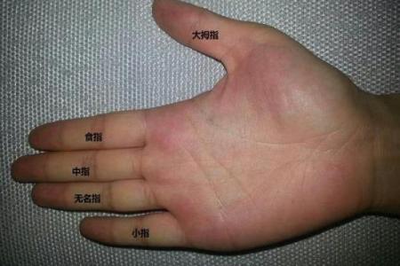 手指尖手相与命运的关系：一图看懂你的性格特征