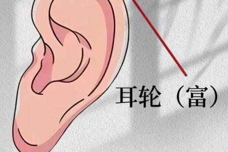 痣相图解析：如何通过面部痣相预测个人运势
