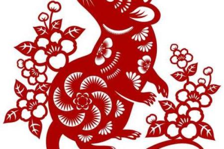 出生的人属什么命及其性格特点解析