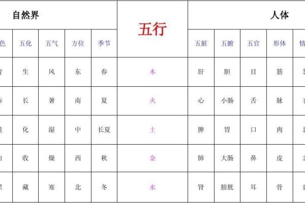 书的五行属性分析与解读