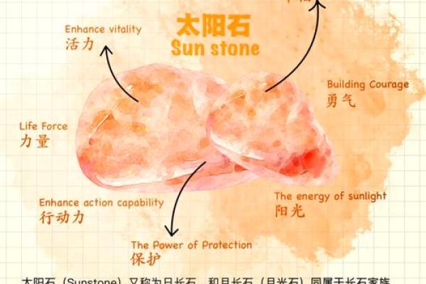 书的五行属性分析与解读