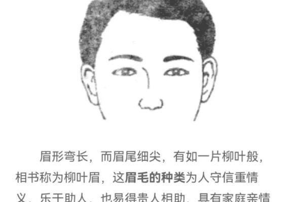 眉毛短的面相解析与改善方法