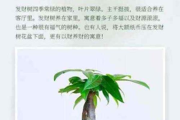 掌握四大风水财位，让家中财富滚滚来
