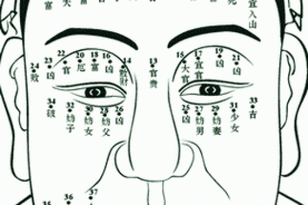 痣相解析：面部痣的位置与意义