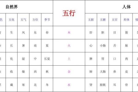 书的五行属性分析与解读
