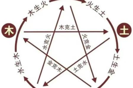 出生的人五行属性分析及命理解析