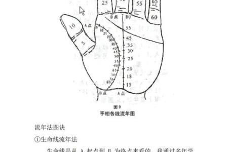 手相解读与房产运势的奇妙关联