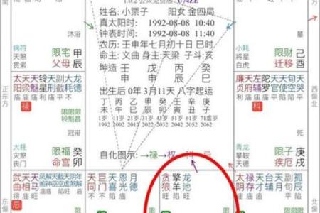 奇门遁甲与紫微斗数的区别