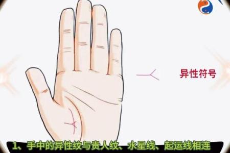 命理中的犯桃花：破解桃花煞的解决之道