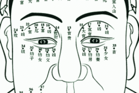 痣相解析：面部痣的位置与意义