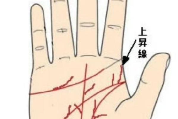 手相中的财运密码：这些标志暗示财富