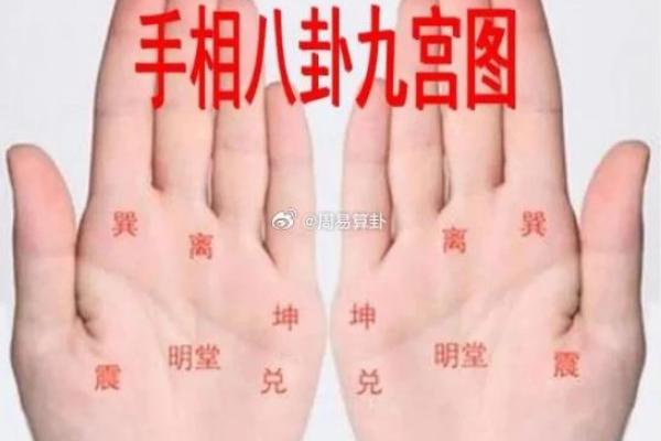 手掌中的命运密码：通过手相了解你的未来