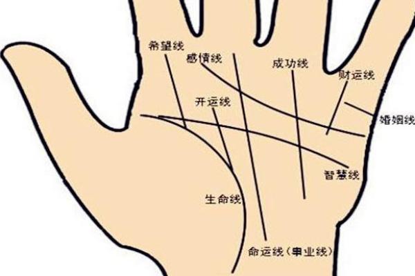 解读玉带纹手相的深层含义与命运走向