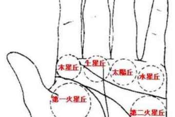 探索智能手相机器：人工智能如何看懂你的手纹