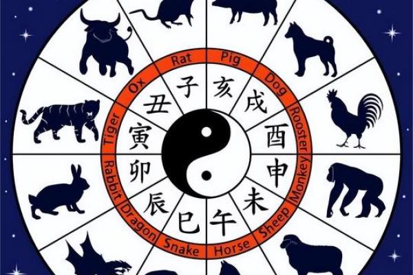 女鸡与男猴婚姻是否能和谐共生？