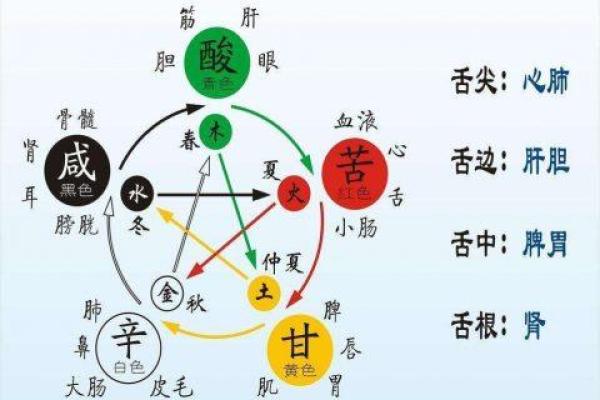 出生的人属什么命 解析五行与命运走势
