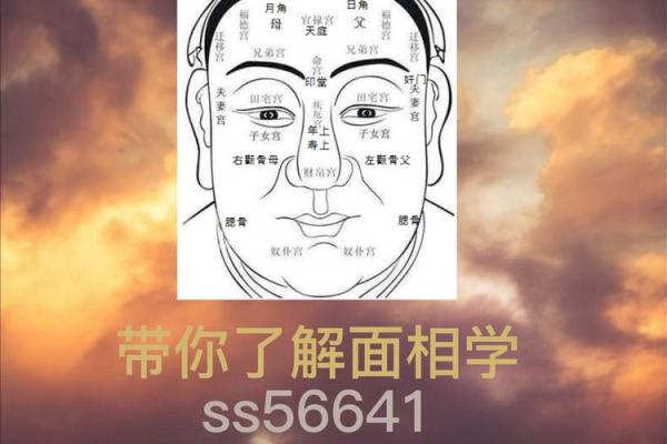 看人面相的奥秘：面部特征与运势的深层关系