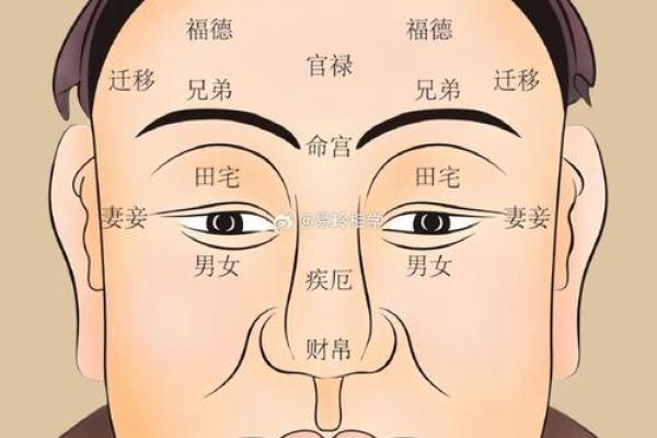 看人面相的奥秘：面部特征与运势的深层关系
