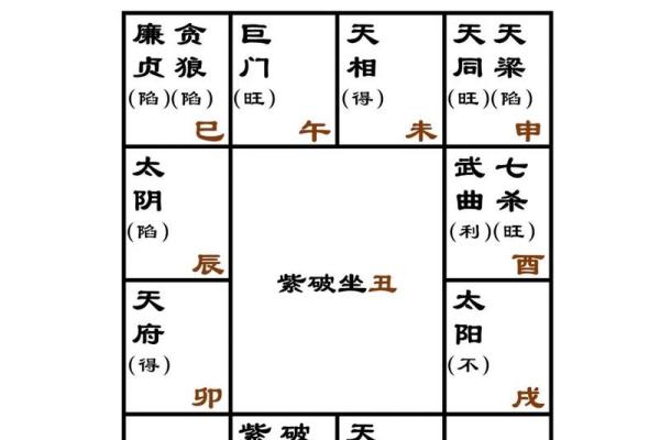 紫薇免费排盘解析：从星象看你的人生轨迹