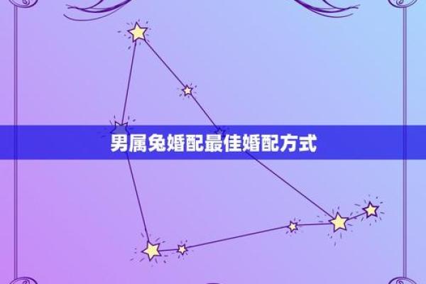 兔与哪些生肖最合适，最佳配对指南