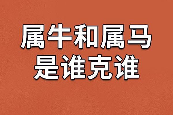 生肖牛与哪些生肖最相合