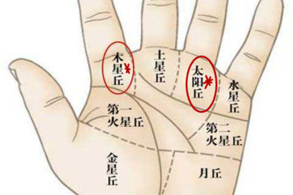 掌纹看生育潜力，手相解码你的孕育命运