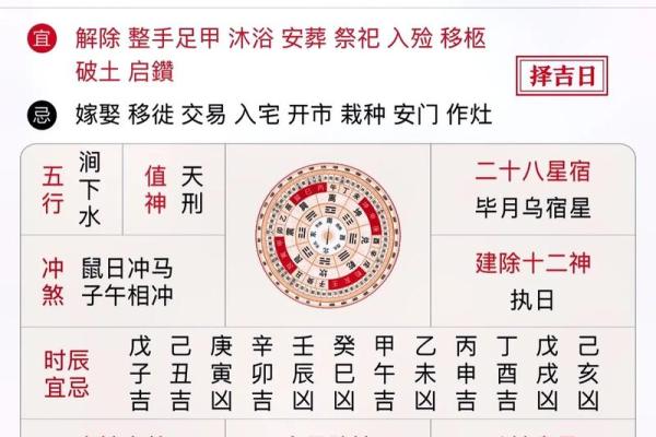 探索今日属相：从日历看你的生肖运势