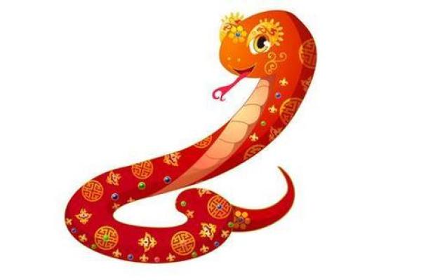 深度分析干与生肖运势的关联