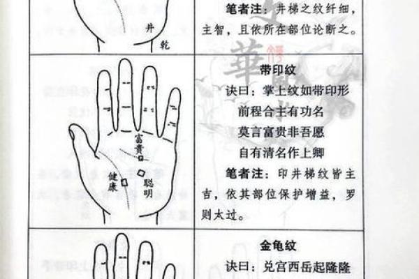 面相分析法：如何根据脸部线条看出人生走向