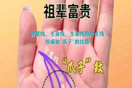手相中的财运密码：这些标志暗示财富