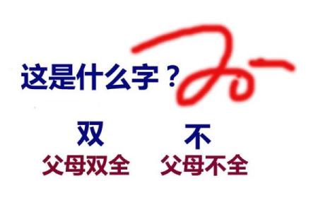 让命理为你指点迷津 助力人生决策