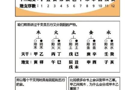 八字批命：如何通过命理揭示个人命运轨迹