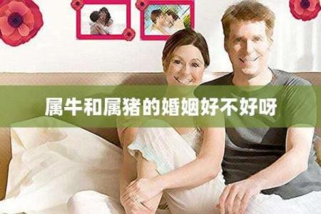 男猪女牛婚姻是否合适？从生肖角度解读两者的配对情况