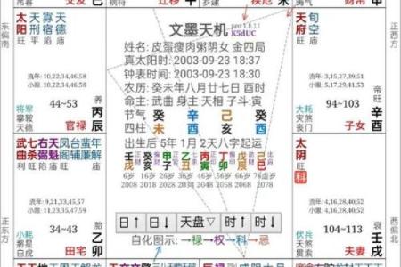 紫微免费排盘：揭示你一生的运势与关键时刻