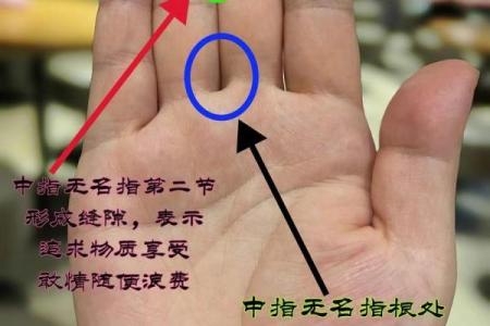 探索智能手相机器：人工智能如何看懂你的手纹