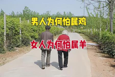 女鸡与男猴婚姻是否能和谐共生？
