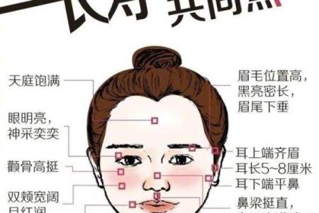 从面相看鼻梁高的好运与人生发展