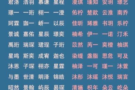 公司起名要遵循的法律和文化规范