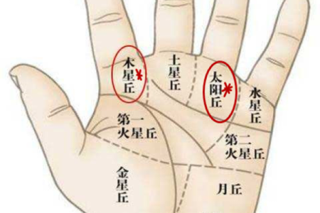 掌纹看生育潜力，手相解码你的孕育命运