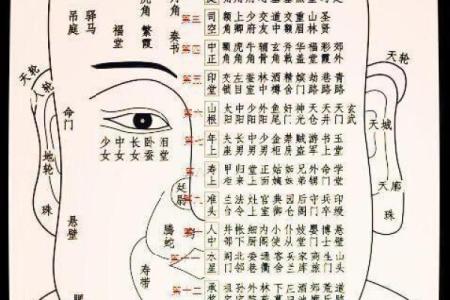通过面相看出女性的好运与魅力